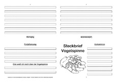 Vogelspinne-Faltbuch-vierseitig.pdf